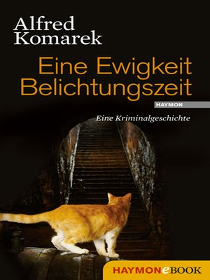 cover image of Eine Ewigkeit Belichtungszeit